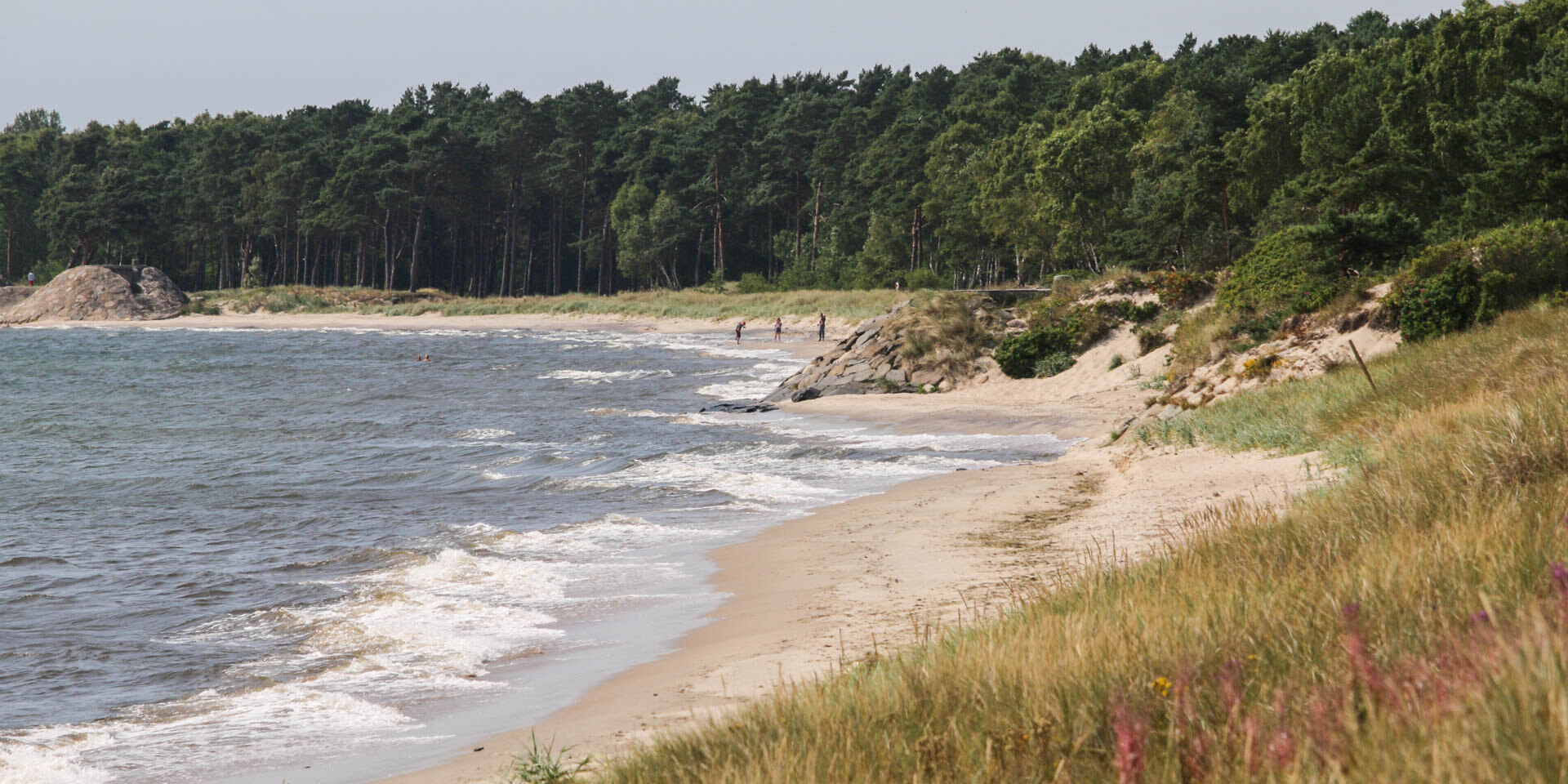 Stränderna, dynerna, lederna
